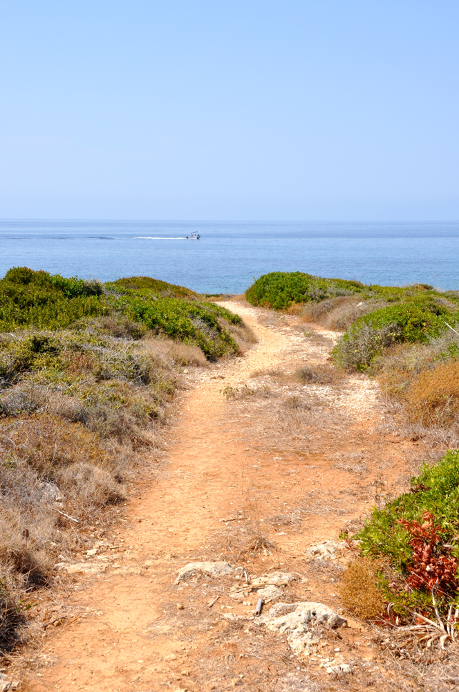 The private trail to the sea at Mezzao Apartments, Kefalonia.