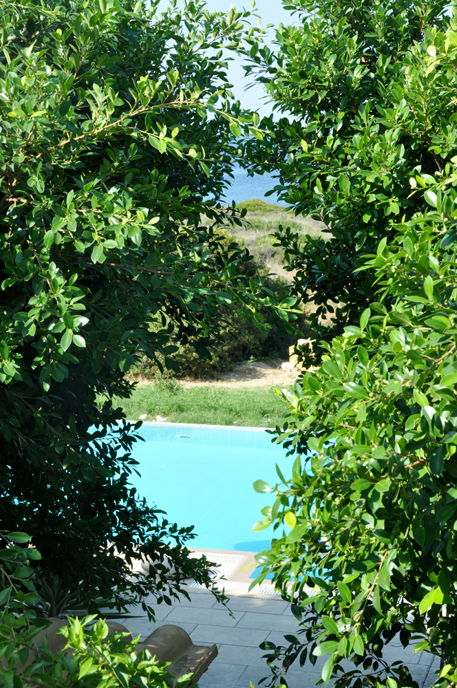 The view to the swimming pool through the foliage at Mezzao Apartments, Kefalonia.